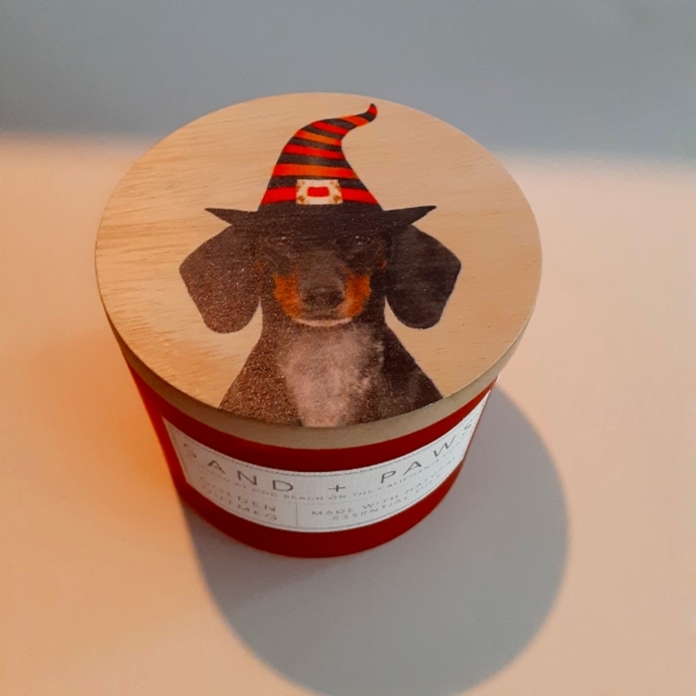 Sand & Paws Dachshund Doxie Halloween Candle Golden Nutmeg New